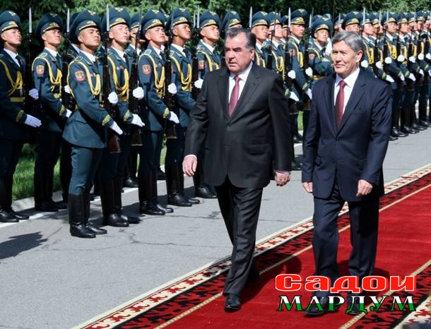 сафари расми