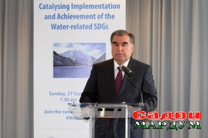 21754788135_0afddde00c_o