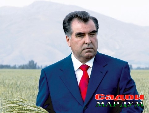 Копия ПрезПоле