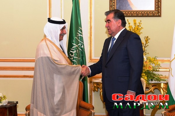 Вазири молия