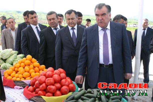 17-Дангара (3)