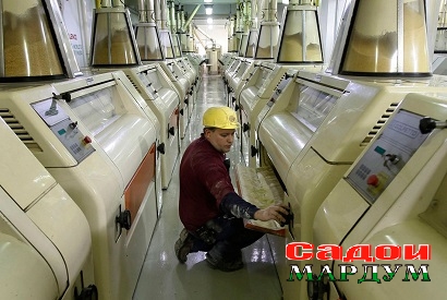 professii-v-kartinkakh-04