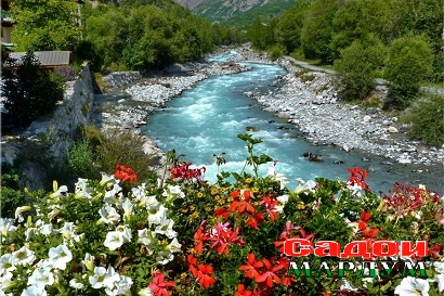 picture