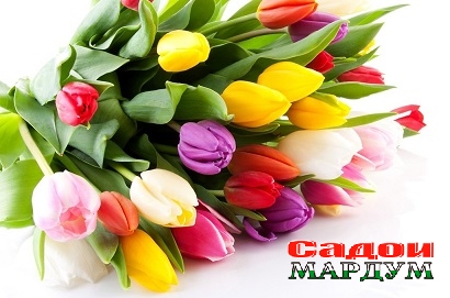 9d5eb6b354ad640ad85ac1dfca90d4beec6bc5da