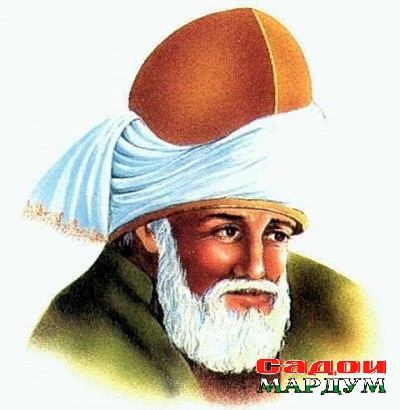 RUMI