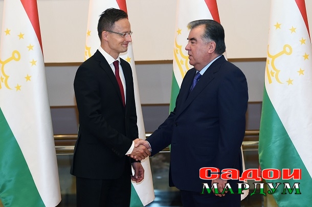 35546346486_65f8550a40_o (2)