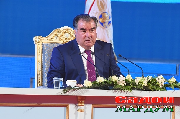 35013958844_972856f47f_o