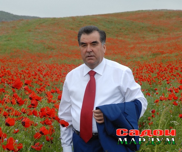 3-Гулу манзарахо (39)