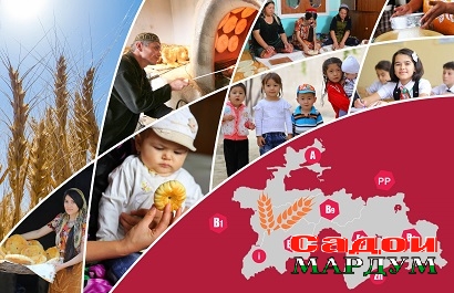 Фактшит 22