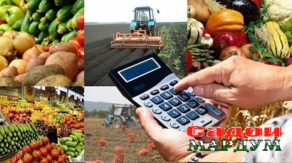 agroforum2 копия копия