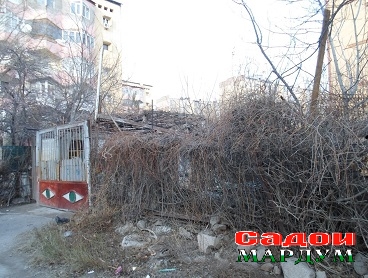 Забегаловка