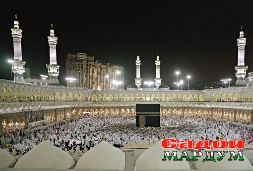 1354220383-0532509-www.nevsepic.com.ua