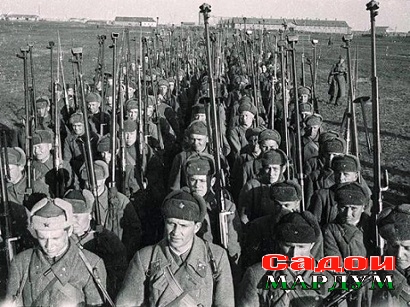 34db2f54d8c31d790ddede78e3b4ed30