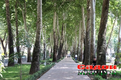 c139666dfd7f3021620a3c3b5f056556