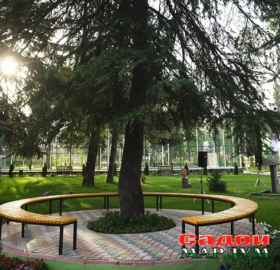 29296128818_0f07644a77_o