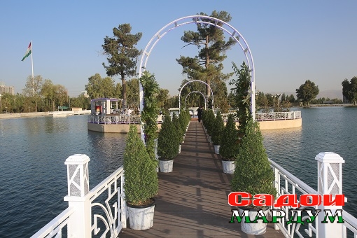 44325242571_a8eb6f269d_o