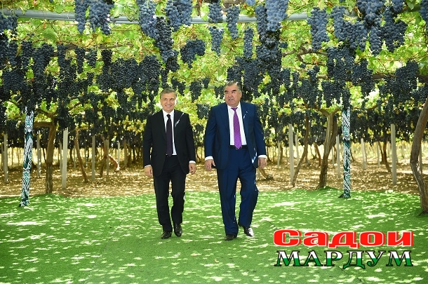 44948206981_22de1116a7_o