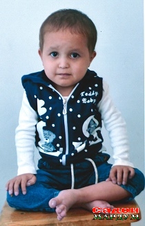 Гулак копия