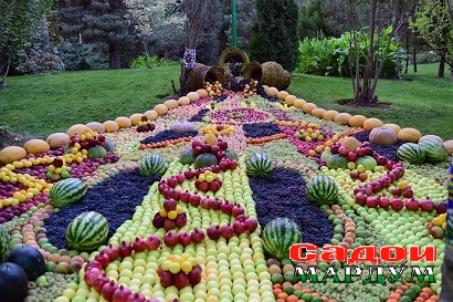 44041543925_7aa9ce9477_o