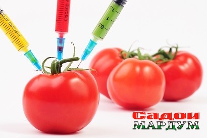 acfbd00d8f3a0c1e0be796dd21bd6739