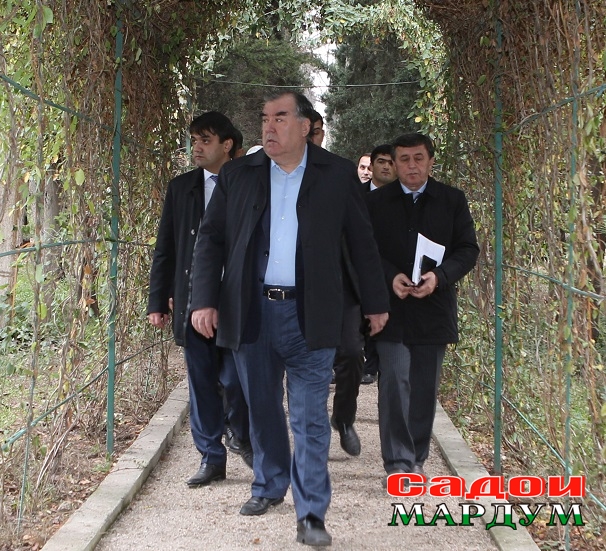 45600801524_07a53712b1_o