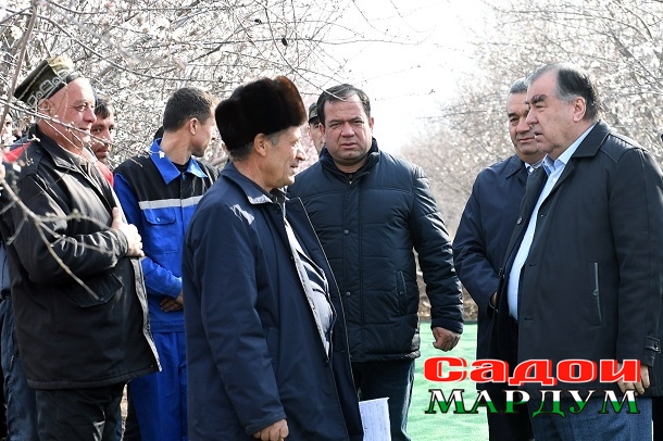 46471325984_1d3934c659_o