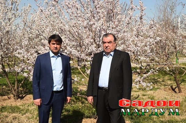 53080129_2499954160074755_1551059574172155904_o