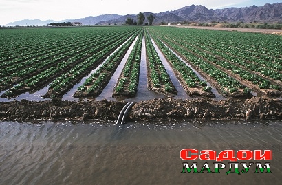 NRCSAZ02010_-_Arizona_(303)(NRCS_Photo_Gallery)