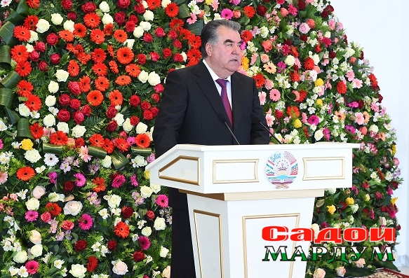 32556233277_cefdc2d863_o