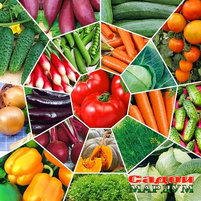 nabor-sady-rossii-rekomenduyut-1