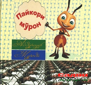 Пайроҳаи мурон