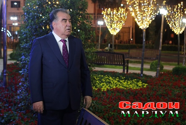 48020274933_f34d14b081_o