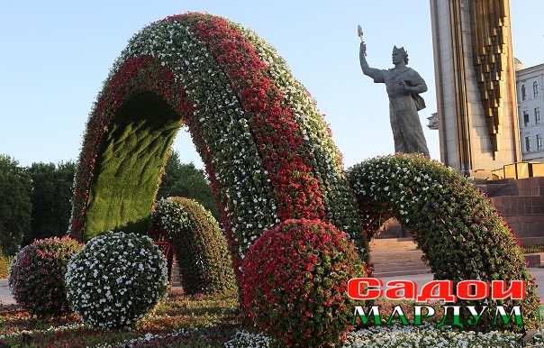 48055704936_a96e830f85_o