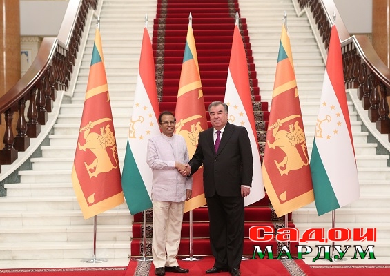 48056736413_61c9dc847d_o