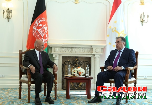 48059117116_a1966fef17_o