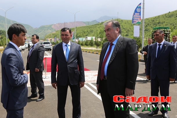 48119933286_4b49551f22_o