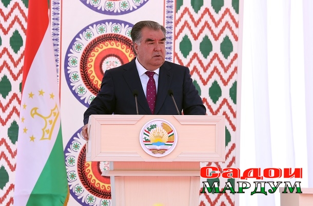 48119974621_af50028cef_o