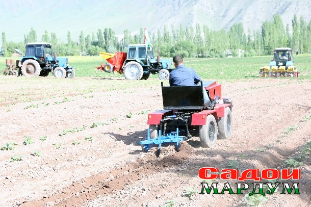 48124769281_2f9a5c5ce2_o