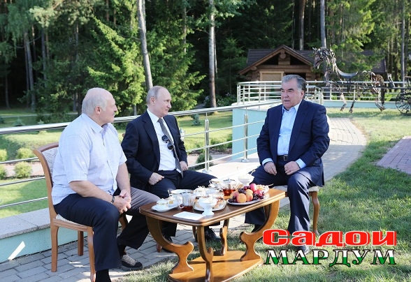 48161728531_83fa1782b7_o