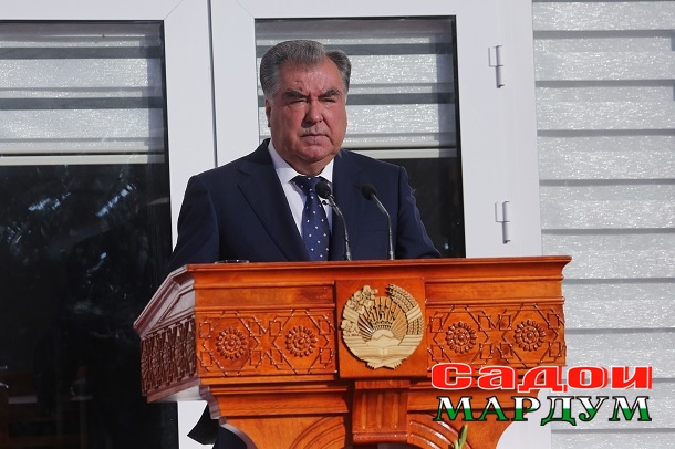 48264016581_e02cf763ef_o