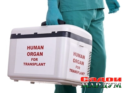 Organ-donor