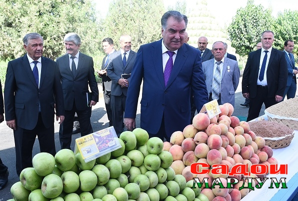 48437501006_abebc16567_o