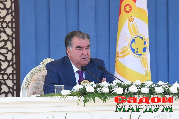 48471031457_ed498db523_o