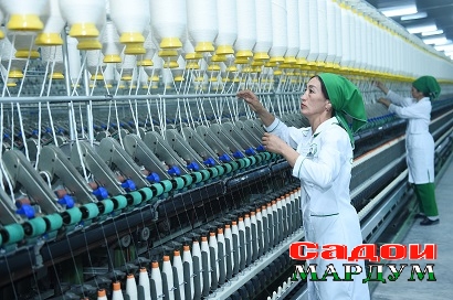 48605515131_637faf510a_o