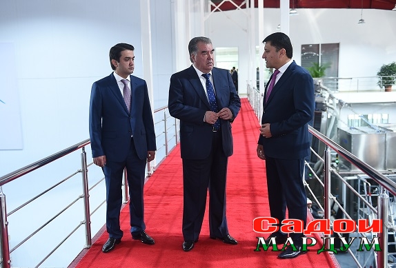 48628376463_8700b325cc_o