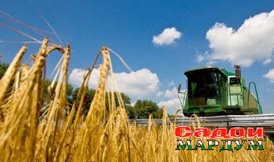 d4a38c8ed6088702b99a4e64dd00c953_L