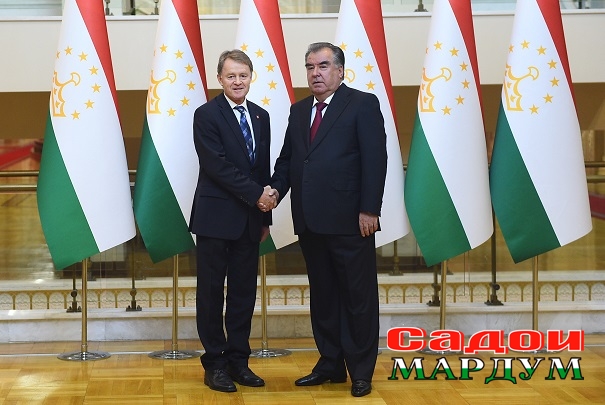 48687309932_2f3922afcc_o