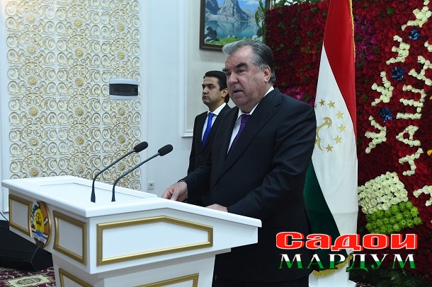 48708642771_d3d864d50a_o