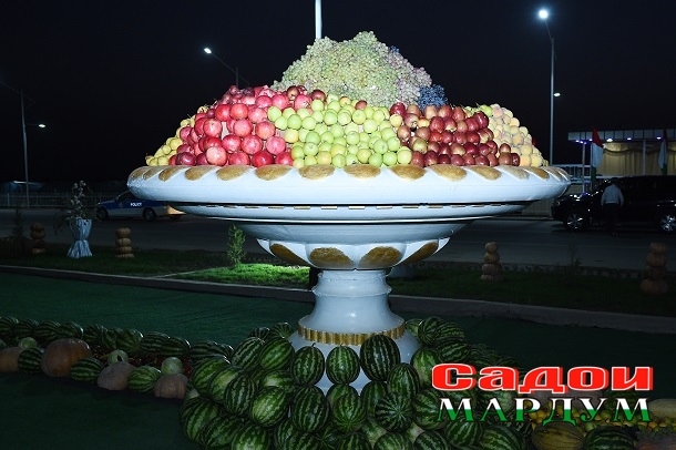 48714316063_95ede91641_o