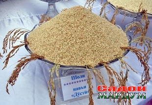 Festivali-sholi-va-birinch-2